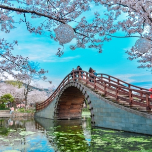 ����ʢ�����黨������