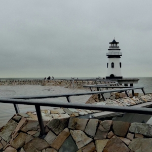 �@�������͑�ԓ���ȥ����