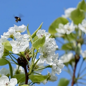 һ���滨�f������ܰ�㝍��������