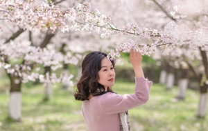 �������������գ�����feel�Ľ�ꎙѻ���