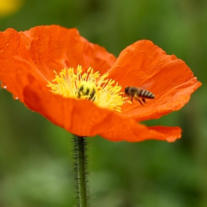 �����ˣ���ȶ��� ǧ�ɰ��Ķ����