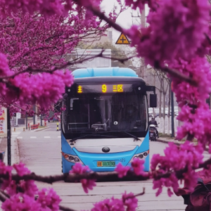 �L�мs�����`������q�q����ؓ