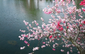 �������L�����p�� �һ��̼t ��֦�̾G