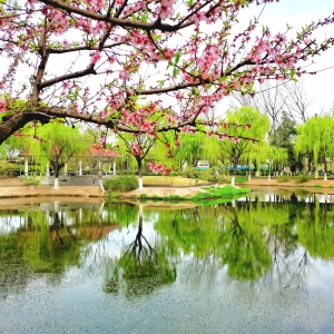 ���@�S�����c��ҹ��p��