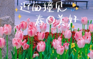 ���շݒ߽֣�̎̎¶��ɫ