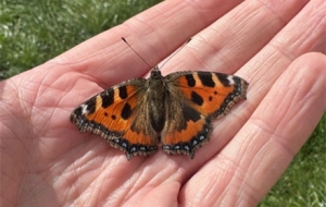 ��ĩꖹ����ã����Tˣ��