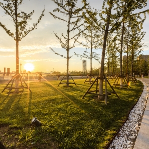 ��ĩ�\(y��n)�ӹ��@һ�Σ��l(f��)�F(xi��n)��߅�����׺��]�з��o(h��)��