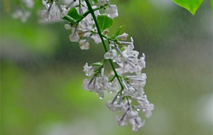 ���㻨�_�M֦�^ �_�����������