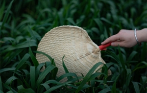 �c����L�� ����׷�Lȥ