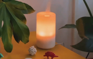 ����Ę�Ȥ����~�l�F���韟���е�����