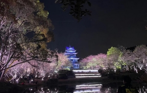 �S�ģ��������@�����������ҹ��