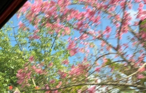 �����˷ſգ��ô�����ϴ��