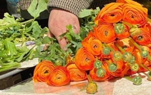 �|�|���⡢����r���Ǵ�������������̖