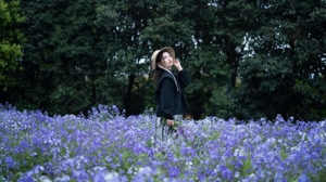 ��ǰһƬ���C��Ȼ ���ش�ز�ľ��֪