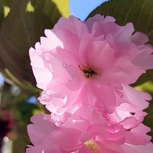 ����մȾ�˻��㣬���ӱ�����Ԋ��