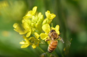 ���մ򿨣� �Ͳ˻��_�䃺æ