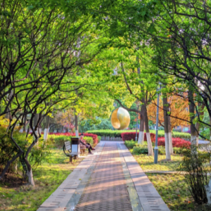 �S�ģ�ӛ����õĮ���