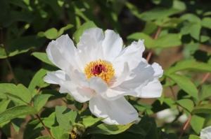 ĵ��ʢ�ţ���ȥ�@��򿨰�~