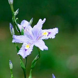 ����]�����p��ҲҪ�����`�ţ�