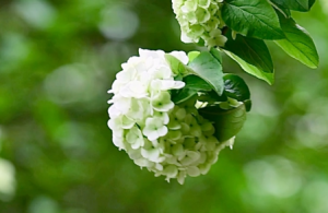 �o��һ��(g��)�˵���g����ס��(n��i)�ĵ��L(f��ng)��