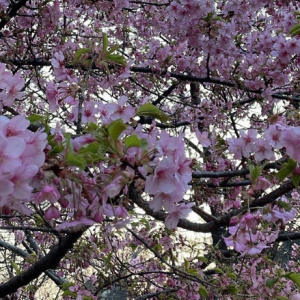 �����������(c��)��Ļ�������