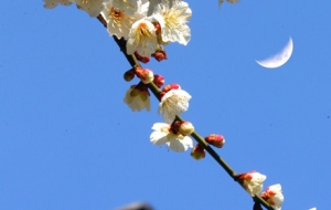 �����R�^�µĻ������㸡�� ��Ӱ���