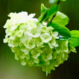 �����Ԋ�����_���