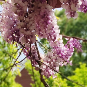 �򿨣����ٻ��_��������