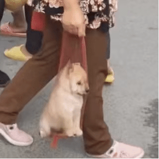 Ȧ��̫խ���������H�]ɶ�C���J�R���ԣ������ֳ�������Ҍ���...