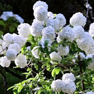 ÿһ�仨�_�������������x