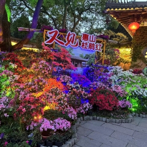 ҹ�μĕ��@����Ҋ��ɽ���N�t