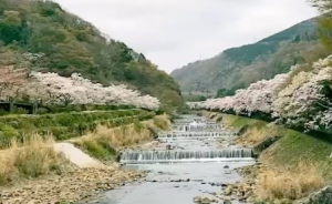 ɽˮ֮�g���д���