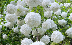 ��ɫ���Aľ�C��Ļ��Z��ϣ��