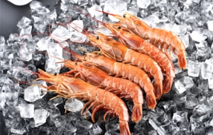 �����r�����r�����r����ͦ�󣬵��ǃr(ji��)��Ҳ��ȥ��