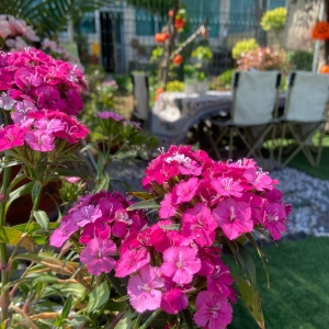 �����п������F(xi��n)һЩ������˲�g