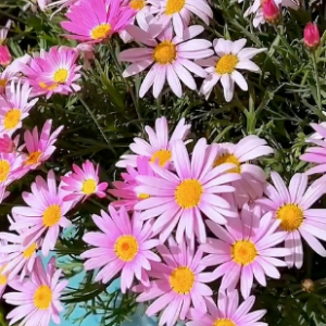 ���������һ�Դ����̎����ˮ���g