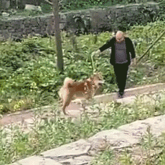 ������f�ġ�ëÓ���ߡ����˜ʵ��g�Z��ʲô