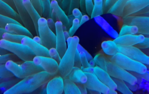 �􂀼o�����߀�úõģ�����ͳɸ���