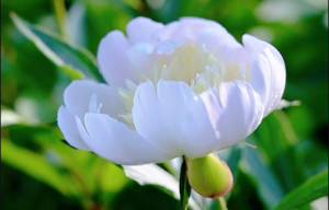 ���g���·��ƱM����ˎ���_�����ģ�