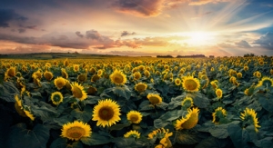 ����������̫����a�}����