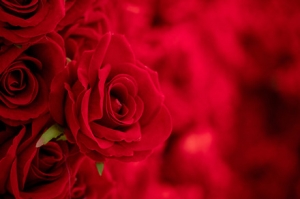 ���������Ǵ���^���ӣ�߀���x����飿