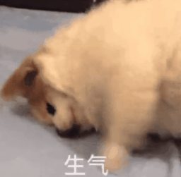 �F���r���c�ߣ��������B�ĆT���o���������ҵ��Ͽ͑�~