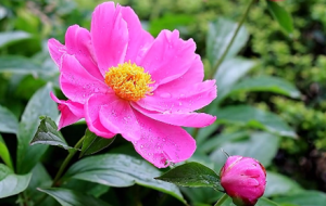 ��ˎ��ÿ�������ж��а뮀����