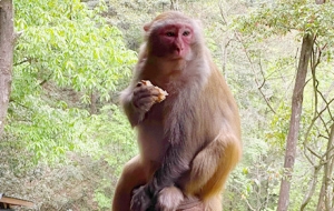 �폈�ҽ����棡��Ȼ�L�⾰ɫ����