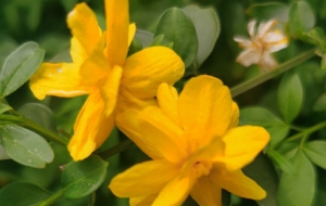 ���T�ڵ������������ݲ����