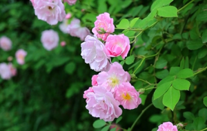 ������������Ĕz�أ�ÿ�����£��Nޱ�o�o�_��