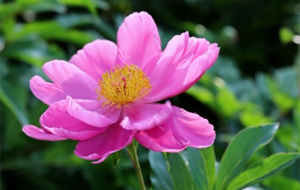 ��ˎ����һ�w�e�ģ������_���䣡