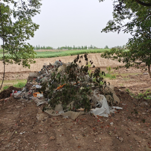 ͵���������������������P��