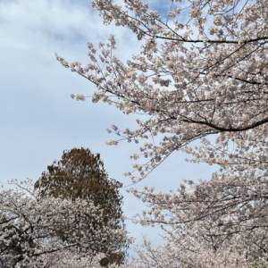 ��ů�Ĵ������һ�������ѻ�