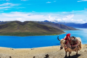 �ഺ�]���ۃr��Ӳ��ֱ�_���_